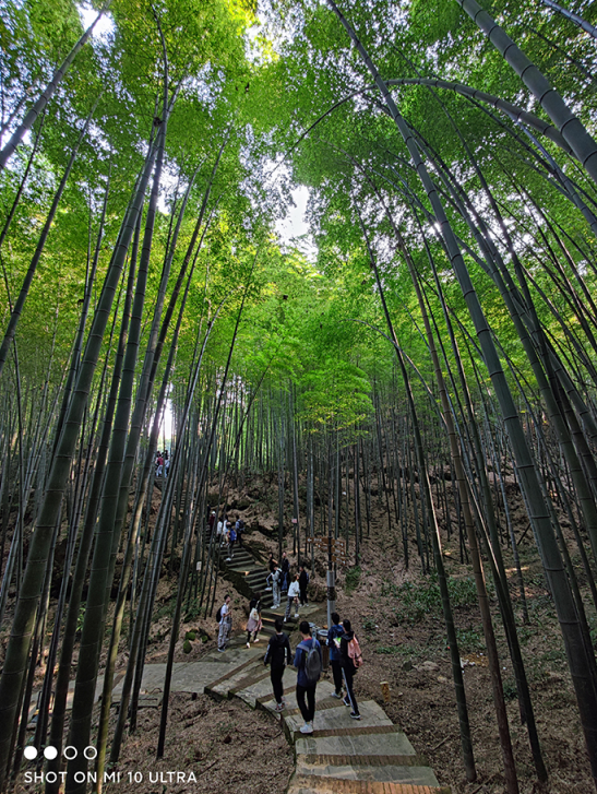 1605973243172073054.png 24.png