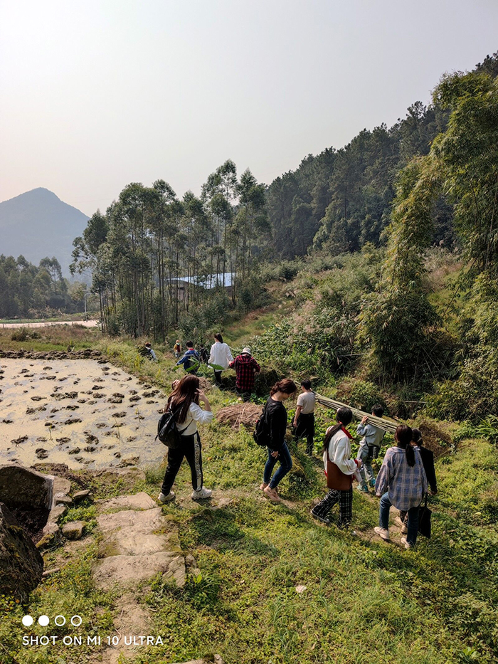 1605973283509046883.jpg 25.jpg