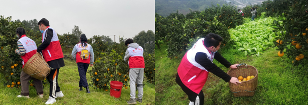 1608304837534046676.png 12.png