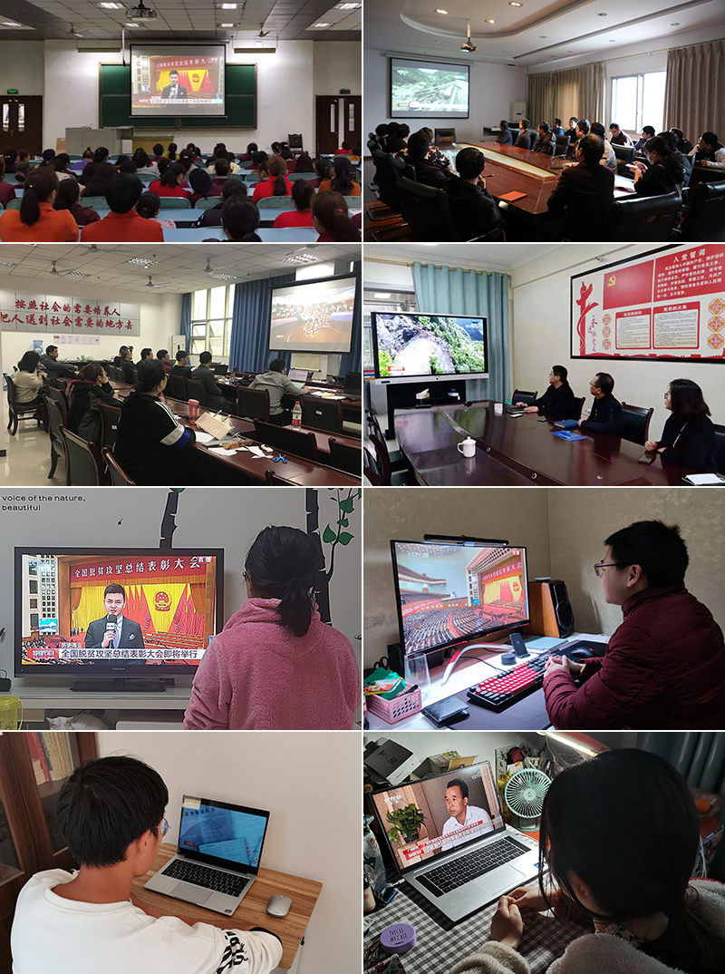 1615179856032020316.jpg 13.jpg