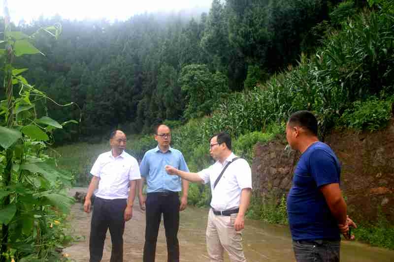 1626103503527016342.jpg 1625797266413026859.jpg