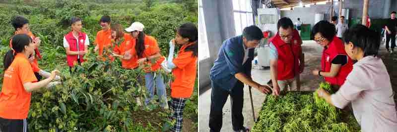 1626103560867036048.jpg 1625797302199065029.jpg