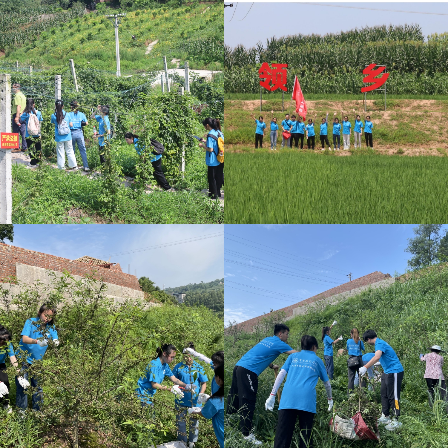 XrFu_1662396034517057248.jpg XrFu_1662396034517057248.jpg