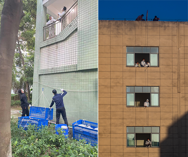 RVmM_1666954678111045580.jpg RVmM_1666954678111045580.jpg