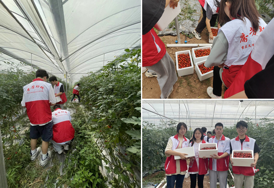 Shcx_1685619359049098346.jpg zqOM_1685510028075094107.jpg