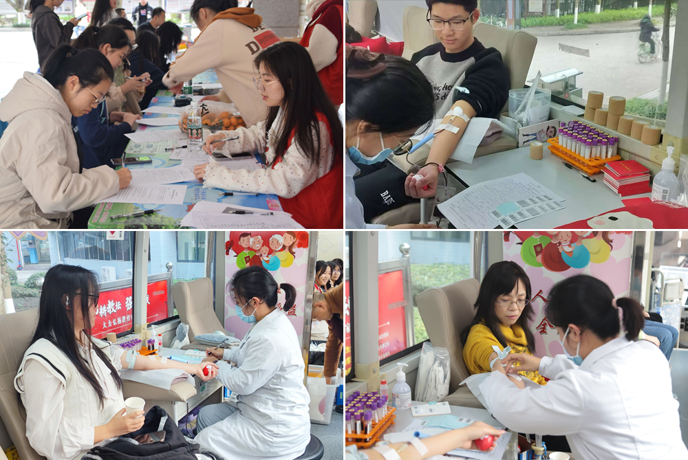 MtVS_1702198921164042861.jpg MtVS_1702198921164042861.jpg