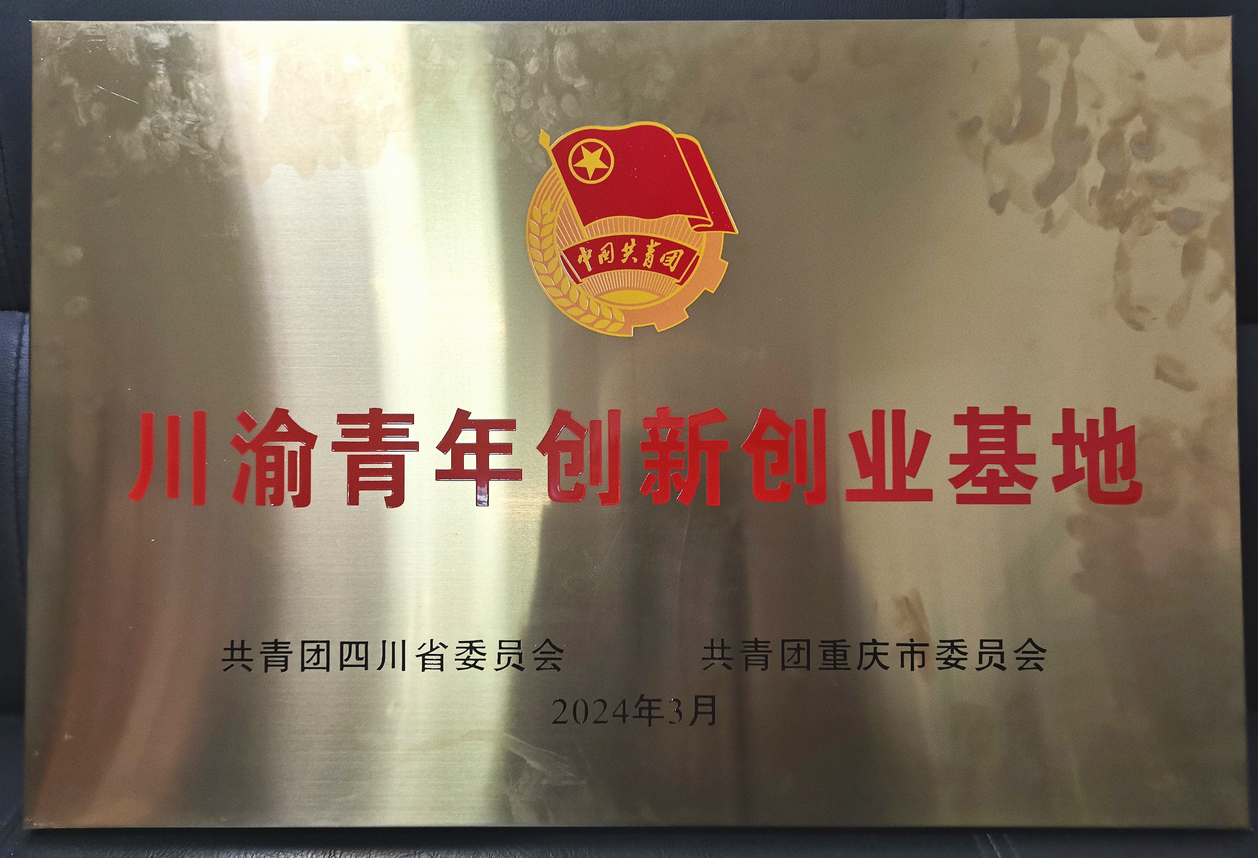 JlDW_1710255662143082278.jpg JlDW_1710255662143082278.jpg