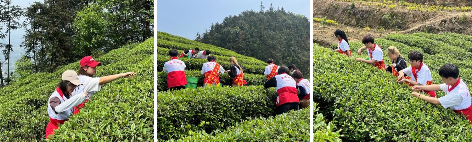 VSXQ_1713446821484014121.jpg VSXQ_1713446821484014121.jpg